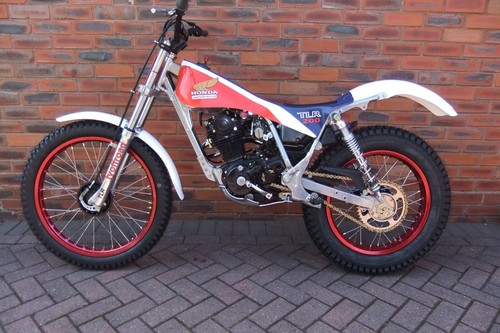 Honda tlr hülle poly neu - honda,